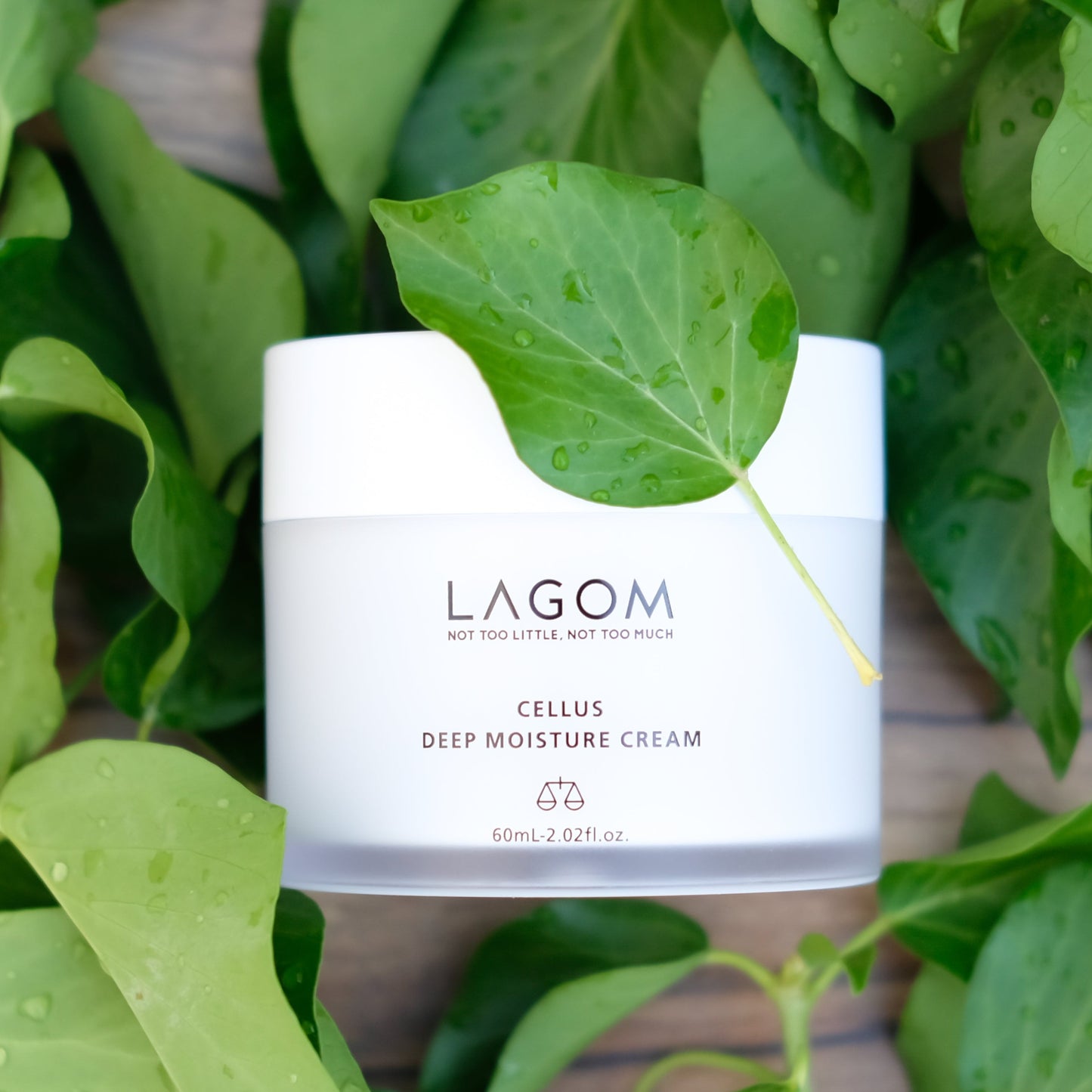 lagom-cellus-deep-moisture-cream